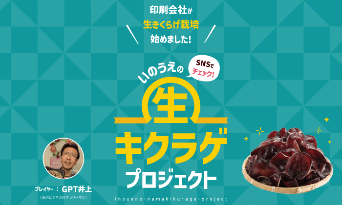 印刷会社が生きくらげ栽培始めました! いのうえの生キクラゲプロジェクト