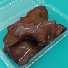 生キクラゲ